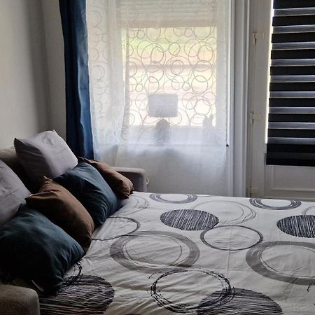 Nemo Petit Studio Cosy. Selongey Luaran gambar