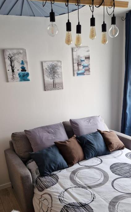 Nemo Petit Studio Cosy. Selongey Luaran gambar